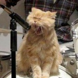 Слава Rocknroll, 17.07, Киев