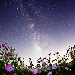 Геннадий Зотов, 19.01, Москва