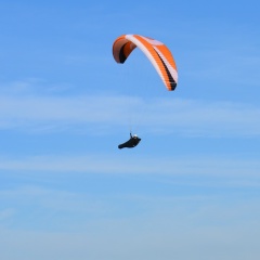 Арчи Бальд, 23.09.1984