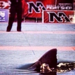 Арман Айвазян, 16.05