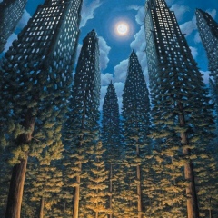 Талгат Джанысаков, 13.07.1996, Бишкек