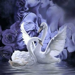 Юрий Батюшинский, Омск