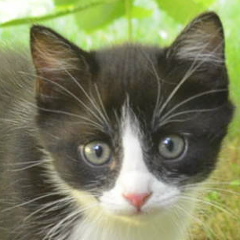 Сергей Неклюдов, 06.03, Алматы