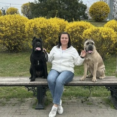 Илона Тарала, 11.12