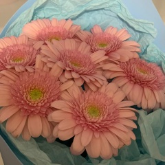 Олеся Богомазова, 16.12.1984, Самара