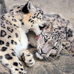 Natali Кузьмина, 20.01, Санкт-Петербург