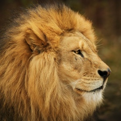 Kires Abishev, 10.08.1984, Омск