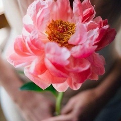 Карлыгаш Мырзахасова, 12.03, Шымкент