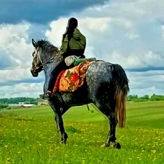 Анна Афанасьева, Тула