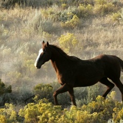 Жанболат Муканбетжанов, 29.01, Актобе