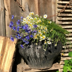 Александра Ефимова, 24.07, Великий Новгород