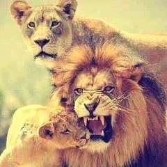 Максим Миленин, Байконур