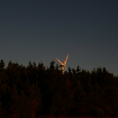 Svetlanka Gurschtinovitsch, 19.07, Санкт-Петербург