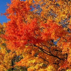 Марина Степанова, 15.04, Санкт-Петербург