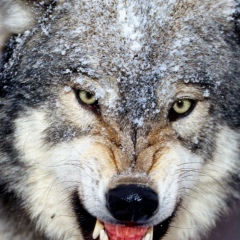 Евгений Спирин, 01.02.1984, Волгоград