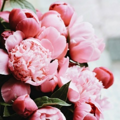 Natalie Natalie, Волгоград