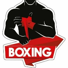 Sasha Novikov, Санкт-Петербург