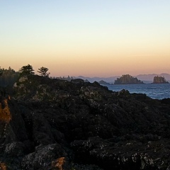 Марина Татаринова, 03.05, Черновцы