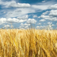 Филипп Самусенко, 21.09, Санкт-Петербург