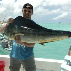 Дмитрий Кат, 23.02, Санкт-Петербург