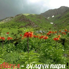 Талантбек Шайдиллаев, 19.01.1994