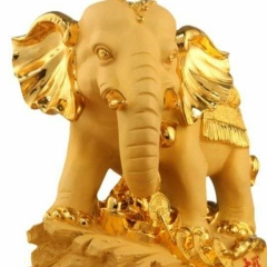 Tin Win, 16.07.1955, Yangon