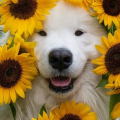 Ly Na, 12.02, Москва