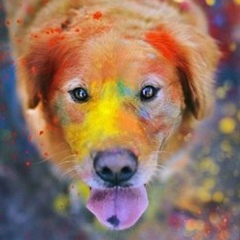 Алина Андросова, 18.06.1986