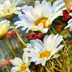 Надежда Аринова, 01.12, Павлодар