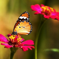 Жанна-Сергеевна Стогниева, 14.04, Полевской