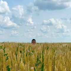 Владислав Габов, Челябинск