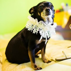 Оксана Тыщенко, 16.02