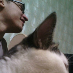 Вячеслав Перцев, 12.06.1984, Санкт-Петербург