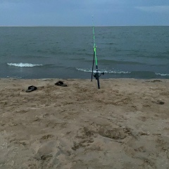 Чингиз Турсынбеков, 14.06, Астана