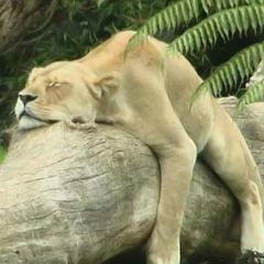 Анна Смит, 23.08, Ташкент