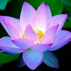 Наталья Дон, 20.10.1978, Киев