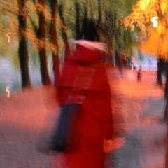 Олеся Кочукова, Санкт-Петербург