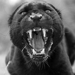 Hamze Hasenov, 03.10, Астана