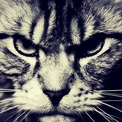 Деня Мася, 10.07.1984, Киев