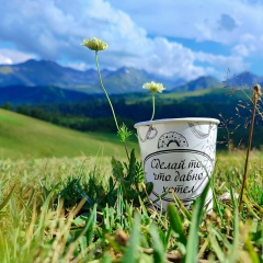 Надежда Максимова