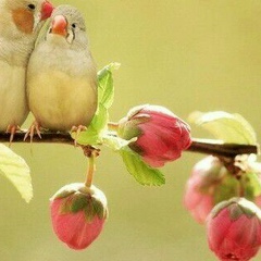 Бахаргуль Искакова, 19.03.1988, Алматы