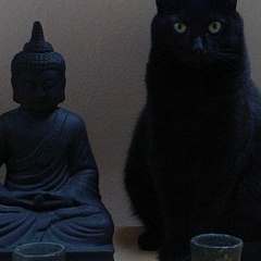 Анастасия Иванова, 29.01, Киев