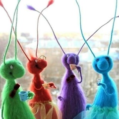 Ксения Никонова, 12.08, Мурманск