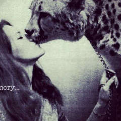 Амина Вайнахская, 31.03, Сургут