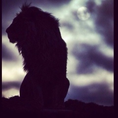 Хусейн Джамалдинов, 31.08, Москва