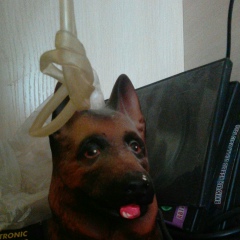 Михаил Добрачев