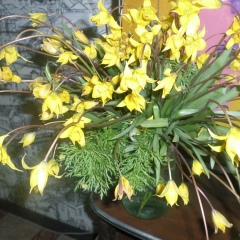 Наташа Емешева, 26.08.1977, Москва