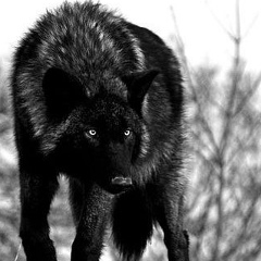 Stanislav Timonin, 15.08, Санкт-Петербург