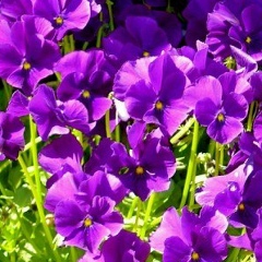 Анна Рзянина, 02.01.1982, Волгоград