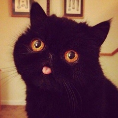 Илюша Блинчик, 26.06.1991